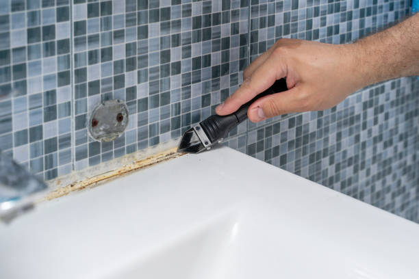 Best Black Mold Remediation in Chester Center, CT